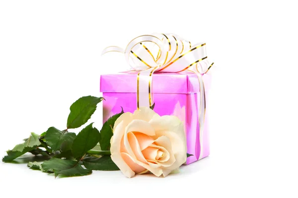 礼物和一大朵玫瑰. 免版税图库图片