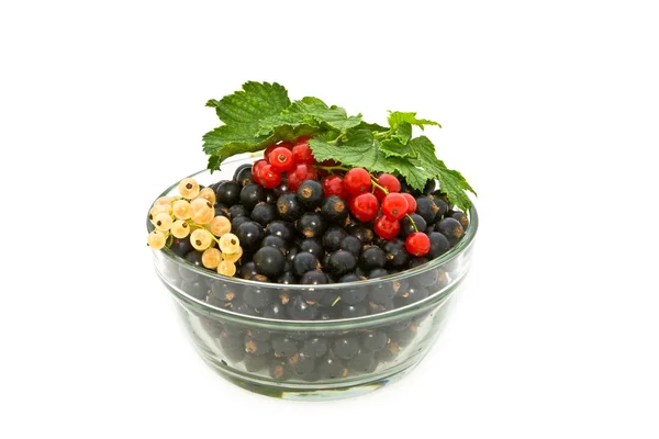 Currant in a glass bowl. — Stock Photo, Image