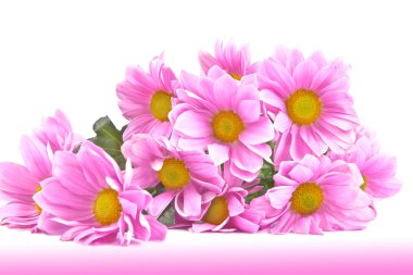 Bouquet of chrysanthemums. clipart