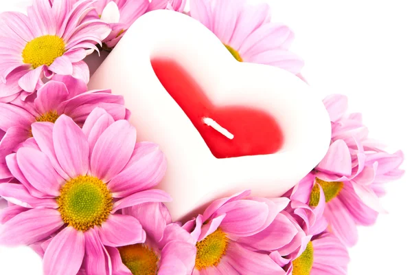菊と、心臓の形でキャンドル. — ストック写真