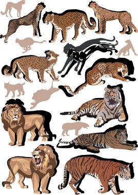 set of big color cats illustration clipart