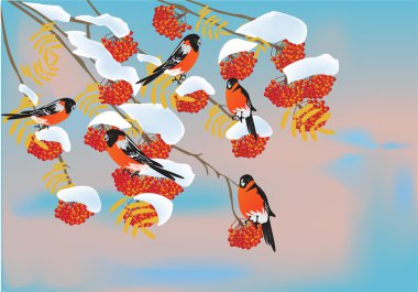 snow rowan and bullfinchs clipart