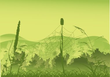 spinnenweb in groen bos illustratie