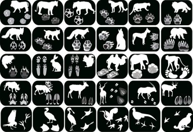 set of animals and its tracks isolated on black clipart