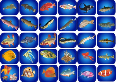 set of fishes on blue background clipart