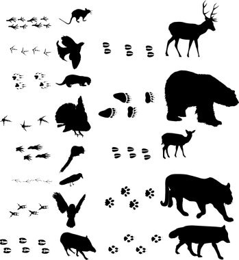 birds and animals with tracks clipart