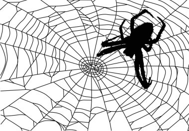 illustration with large spider in web clipart