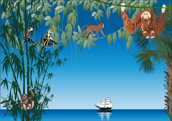 Monos cerca del mar ilustración — Vector de stock