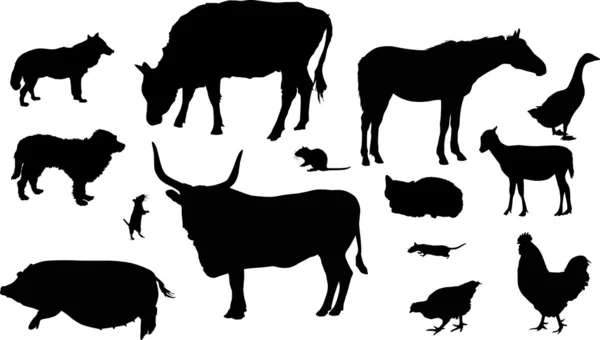孤立的农场动物剪影集合 — 图库矢量图片