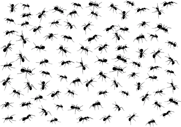 Φόντο με μυρμήγκι σιλουέτες — Διανυσματικό Αρχείο