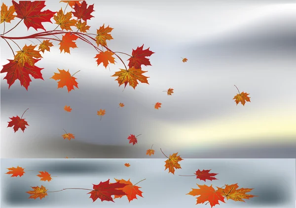 Fall maple leaves on grey background - Stok Vektor