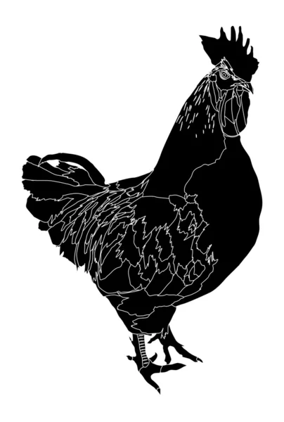 Single rooster silhouette isolated on white — Stock Vector