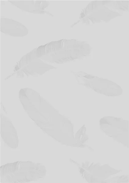 Bakgrunnsillustrasjon av grå fjær – stockvektor