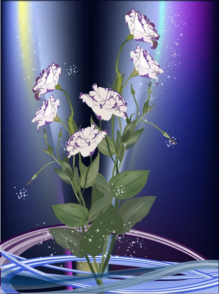 Witte en violette bloemen op donkere achtergrond — Stockvector