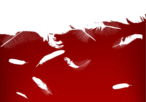Fond de plumes blanches et rouges — Image vectorielle