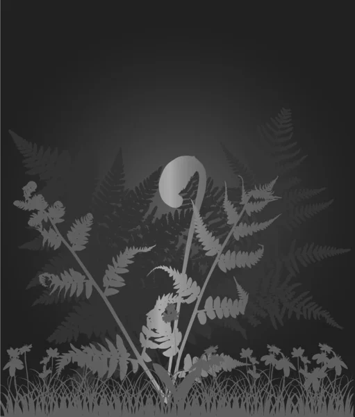 灰色図シダの茂み — ストックベクタ
