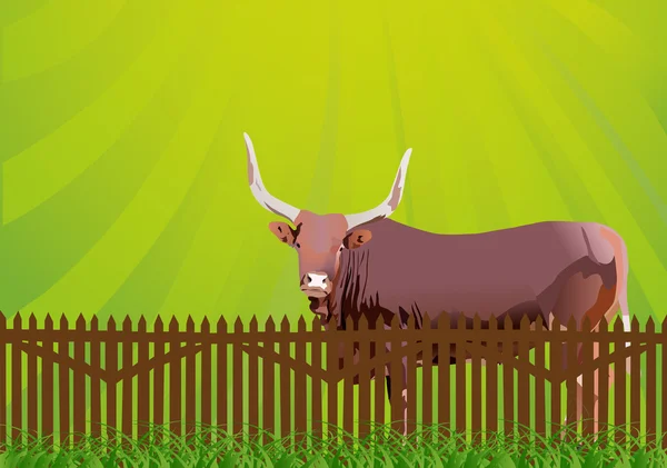 Taureau dans l'herbe près de la clôture sous la lumière du soleil — Image vectorielle
