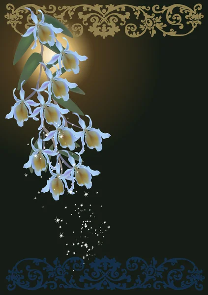 Світло-блакитні орхідеї на прикрашеному фоні — стоковий вектор