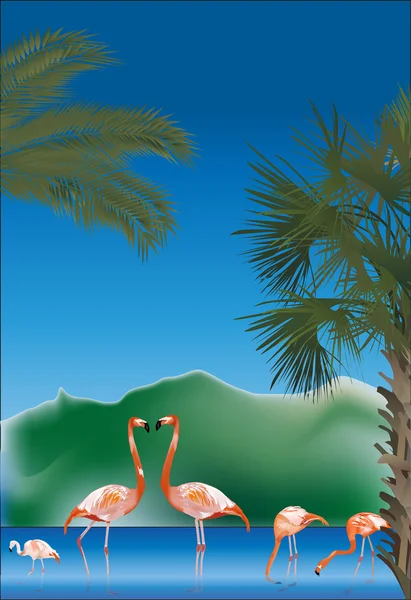 Flamingo in blue lake — Stock Vector