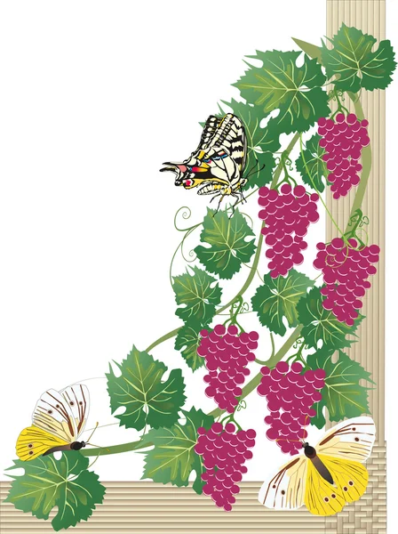 蝶とピンクのブドウ — ストックベクタ