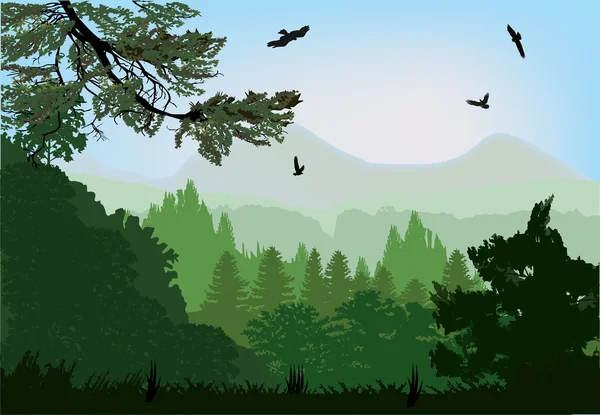 Forêt verte près des montagnes — Image vectorielle