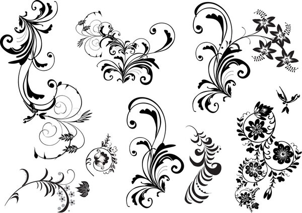 коллекция черных растений
