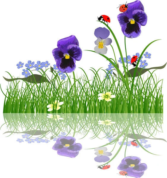 Fleurs bleues et coccinelles avec réflexion — Image vectorielle