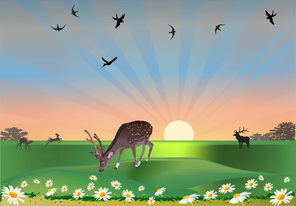 Cerfs en chamomiles et oiseaux — Image vectorielle