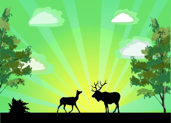 Zwei Hirsche zwischen Bäumen bei Sonnenaufgang — Stockvektor