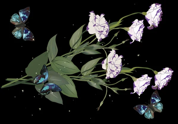 Blauwe vlinders en lichte bloemen op black — Stockvector