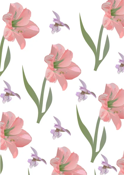 Ροζ οικογένειας κρίνων λουλούδια φόντο — Διανυσματικό Αρχείο