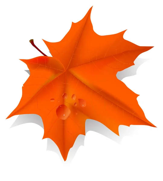 Иллюстрация с апельсиновым кленовым листом — стоковый вектор