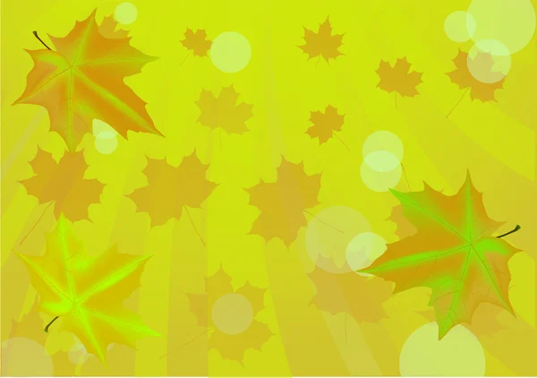 Фон зеленого кленового листя — стоковий вектор
