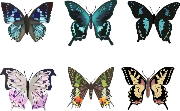 Набор шестицветных бабочек — стоковый вектор