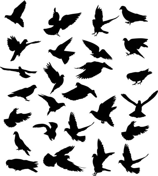 Twenty six pigeon black silhouettes — Stock Vector