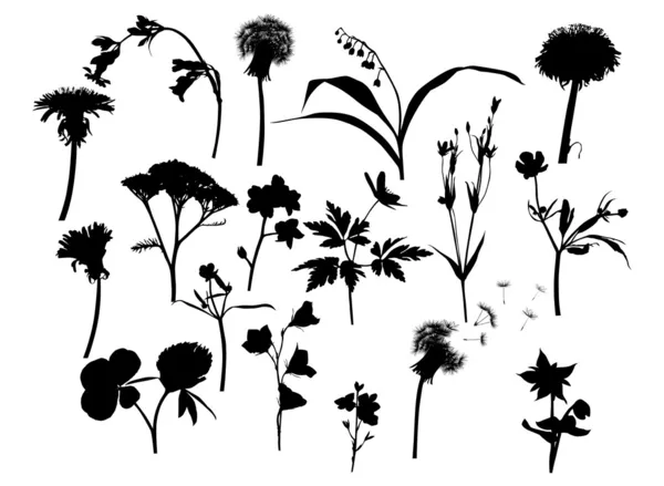 Fleurs sauvages silhouettes collection — Image vectorielle