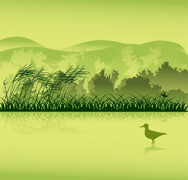 鸟在附近森林湖 — 图库矢量图片