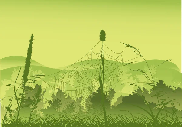 緑の森林図にクモの巣 — ストックベクタ
