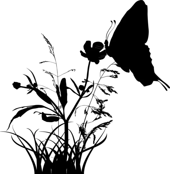 Kır çiçeği siluet üzerinde Kelebek — Stok Vektör