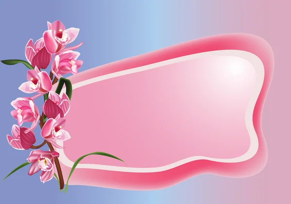 粉色兰花与帧 — 图库矢量图片