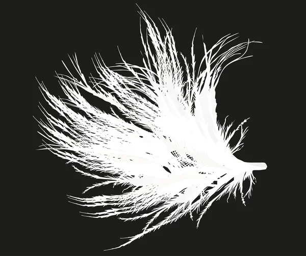 White fluffy feather on dark background — Stock Vector
