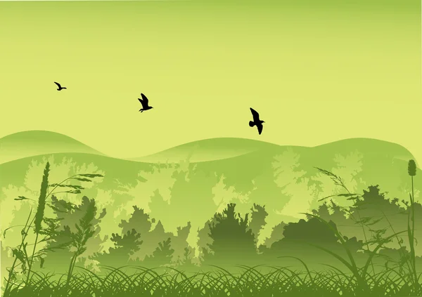 Tres aves sobre bosque verde — Vector de stock