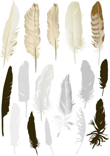 stock vector sixteen isolated feathers set