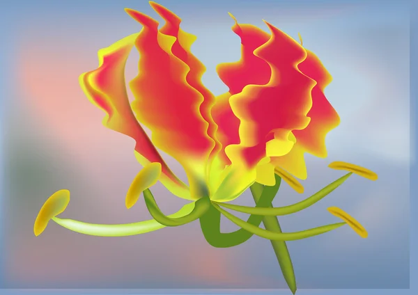 Vörös egyágyas liliom virág illusztráció — Stock Vector