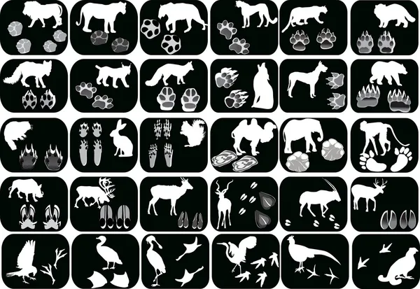 Conjunto de animais e suas faixas isoladas em preto — Vetor de Stock