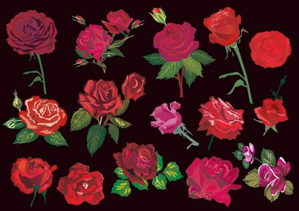 Quince rosa roja sobre negro — Archivo Imágenes Vectoriales
