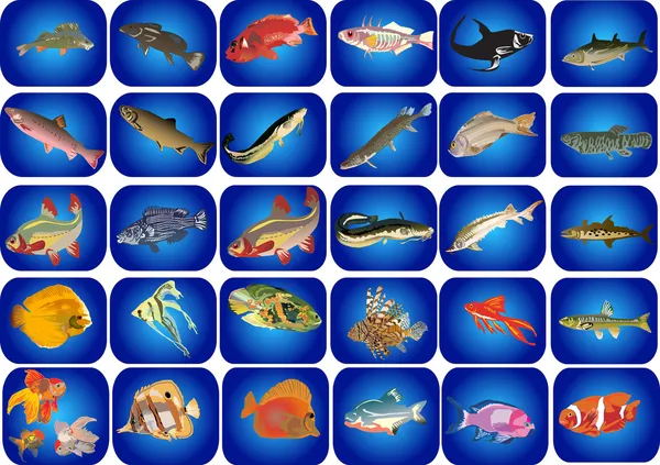 Sada ryb na modrém pozadí在蓝色背景上的鱼设置 — 图库矢量图片
