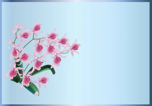 Oddziały z różowa orchidea kwiecie na niebiesko — Wektor stockowy