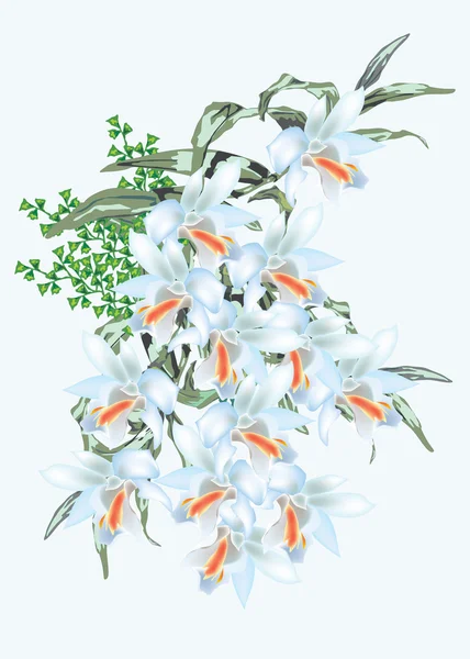 Hellblaue Orchideendekoration — Stockvektor