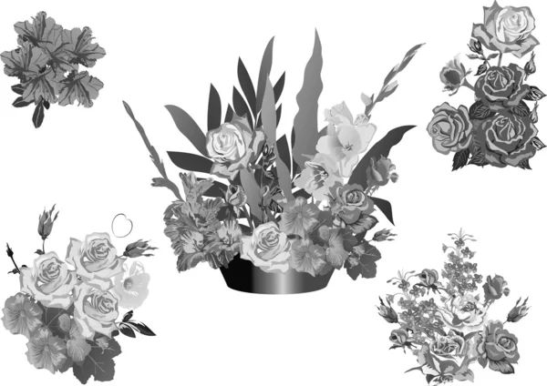 Rosa gris conjunto de flores aisladas en blanco — Archivo Imágenes Vectoriales